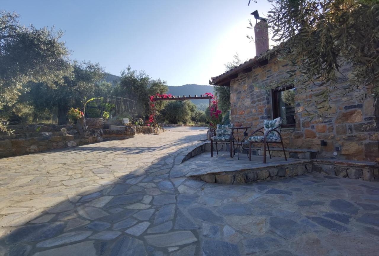 Vila Elaion Thea2-Nies Sourpi Exteriér fotografie