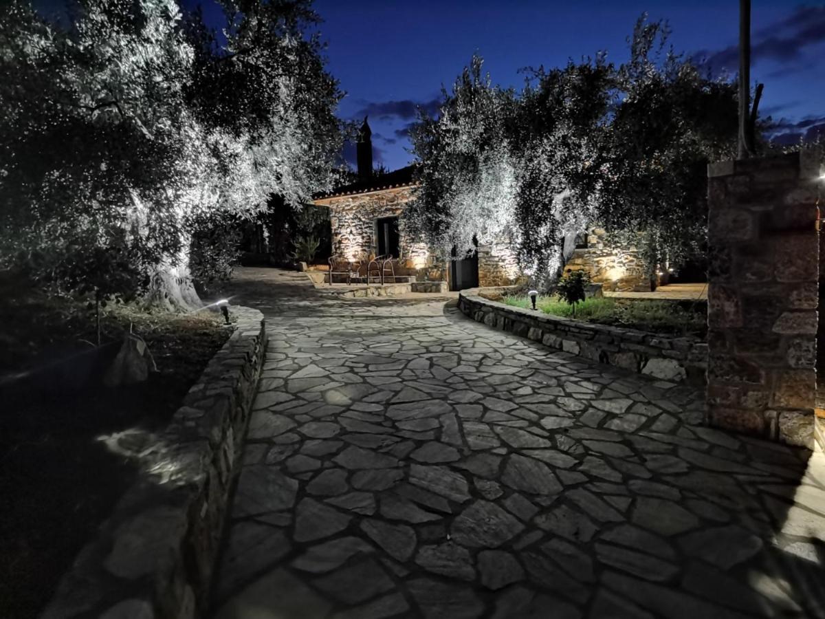 Vila Elaion Thea2-Nies Sourpi Exteriér fotografie
