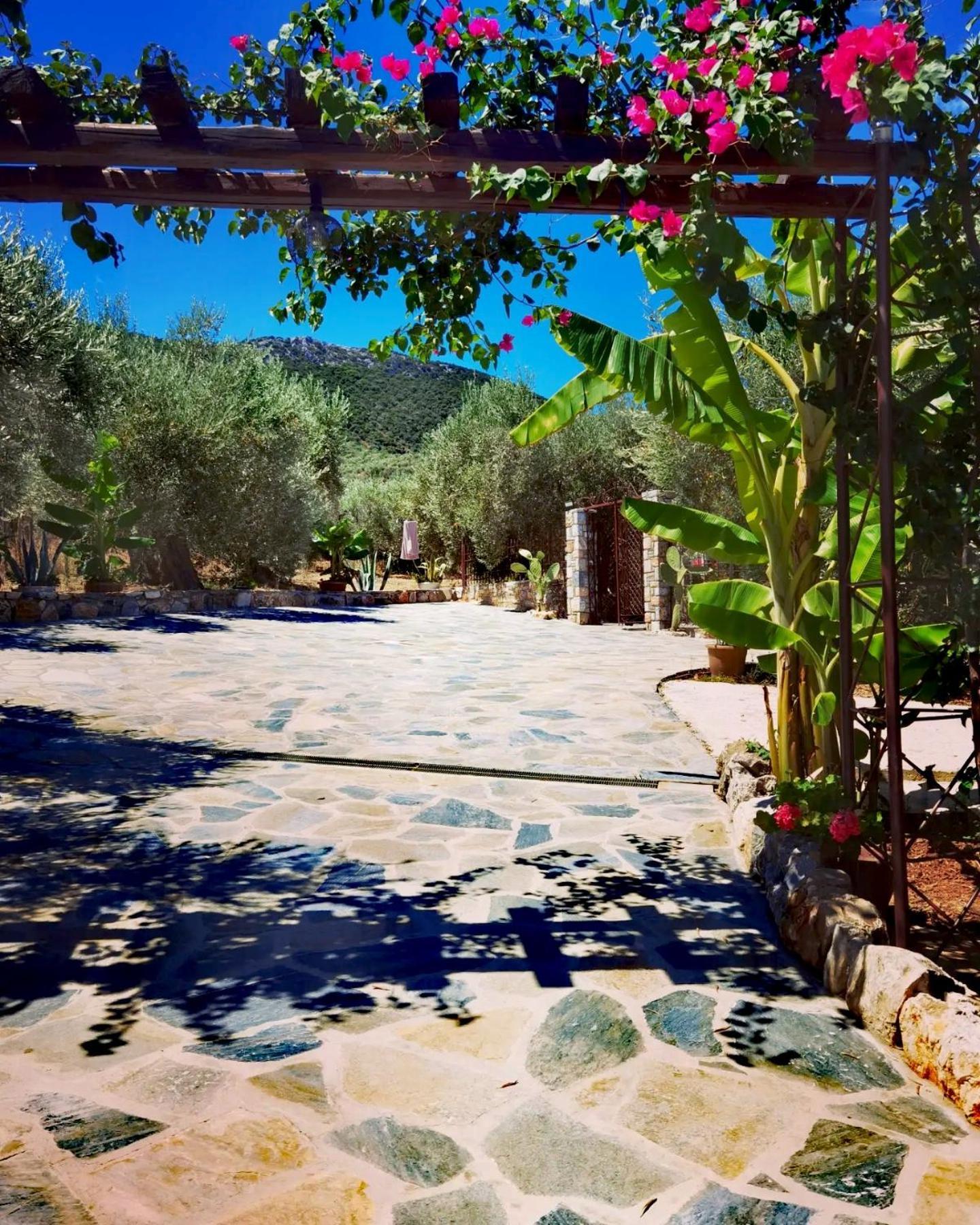 Vila Elaion Thea2-Nies Sourpi Exteriér fotografie